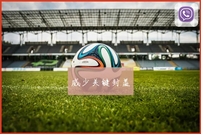 威少关键封盖