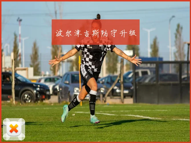 波尔津吉斯防守升级