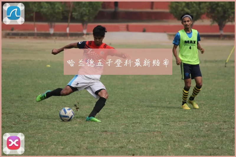哈兰德五子登科最新赔率