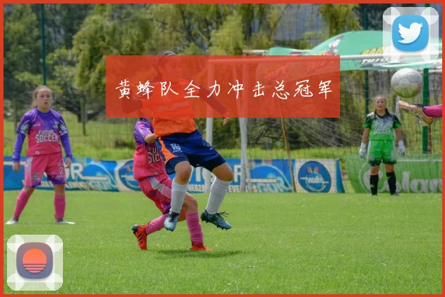 黄蜂队全力冲击总冠军
