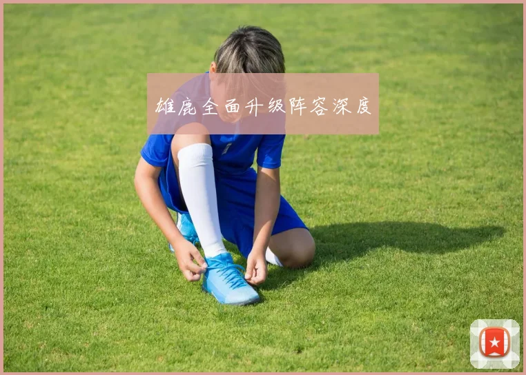 雄鹿全面升级阵容深度