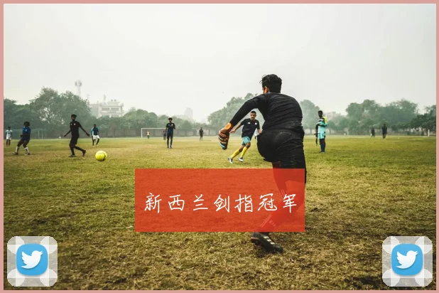 新西兰剑指冠军
