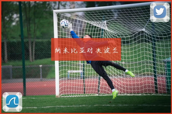 纳米比亚对决波兰