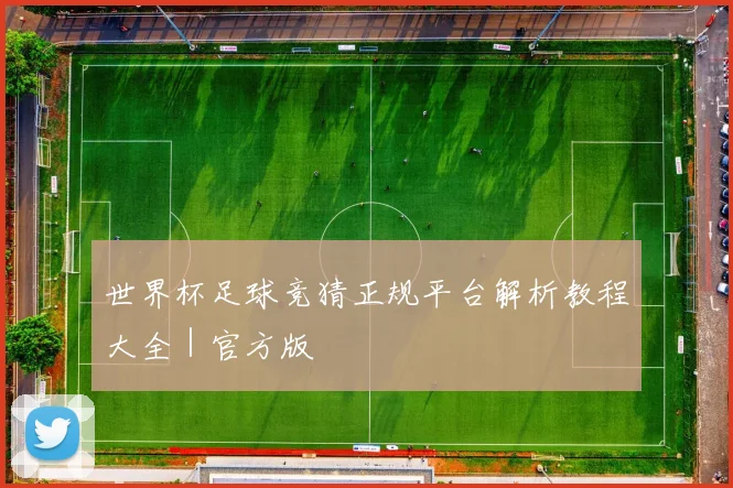 世界杯足球竞猜正规平台解析教程大全｜官方版