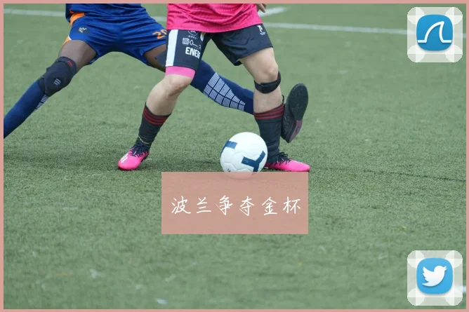 波兰争夺金杯