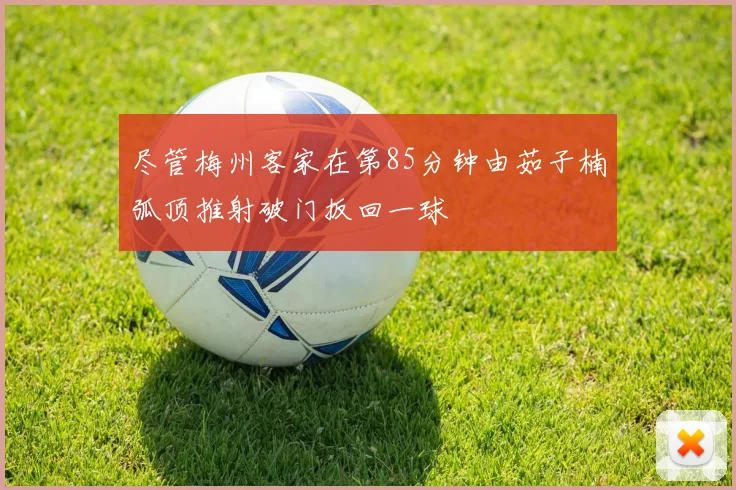 尽管梅州客家在第85分钟由茹子楠弧顶推射破门扳回一球