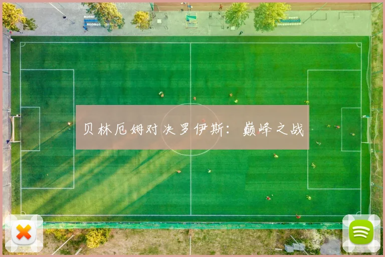 贝林厄姆对决罗伊斯：巅峰之战