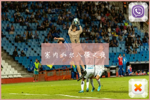 塞内加尔八强之夜