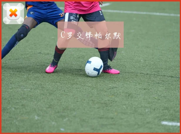 C罗交锋帕尔默