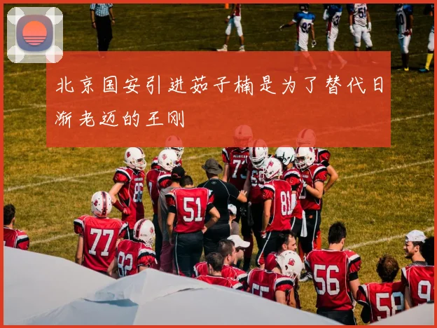 北京国安引进茹子楠是为了替代日渐老迈的王刚