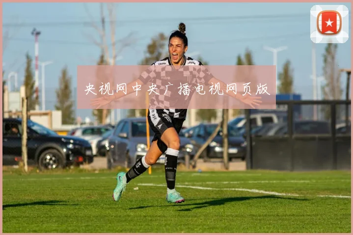 央视网中央广播电视网页版