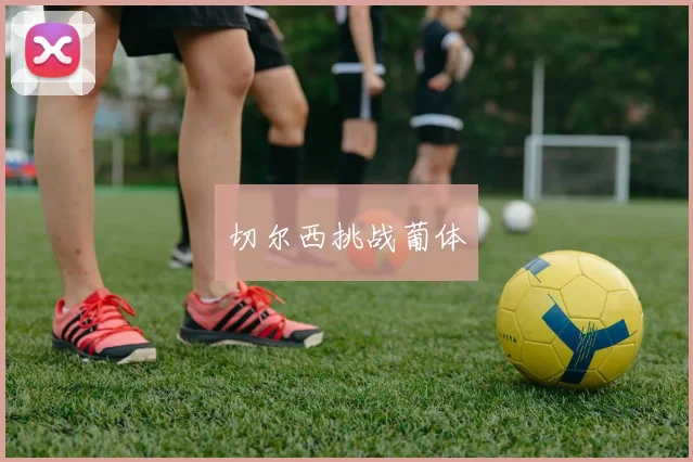 切尔西挑战葡体