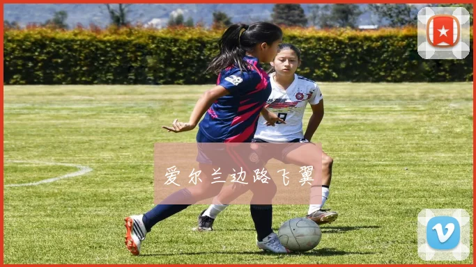 爱尔兰边路飞翼