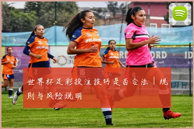 世界杯足彩投注技巧是否合法｜规则与风险说明
