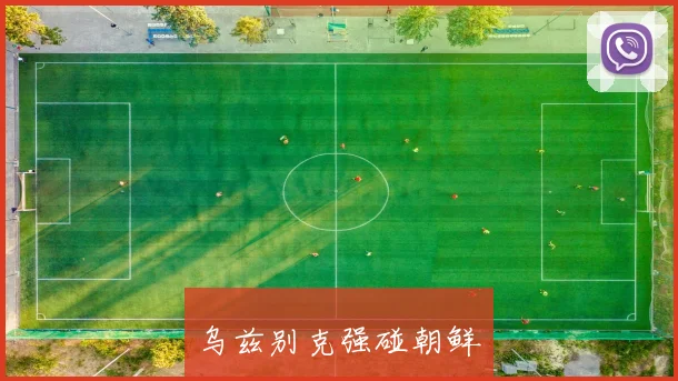 乌兹别克强碰朝鲜
