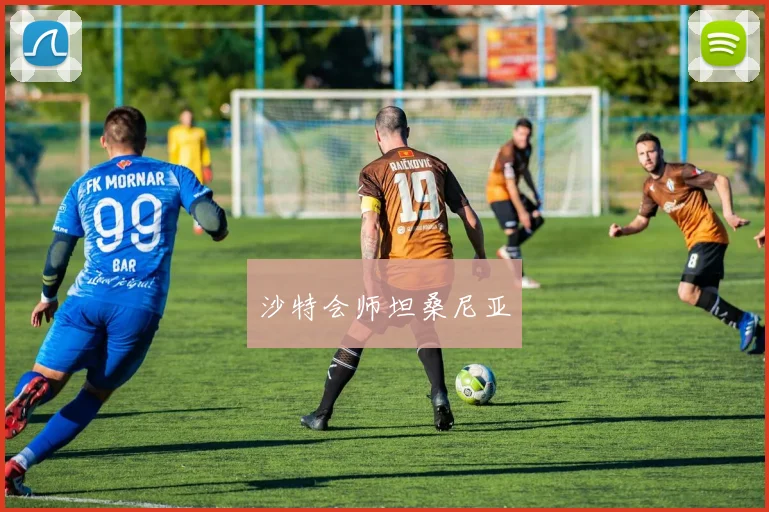 沙特会师坦桑尼亚