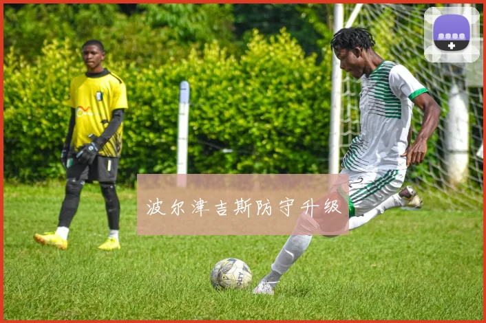 波尔津吉斯防守升级