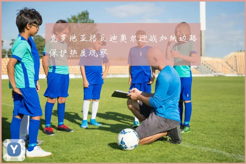 克罗地亚格瓦迪奥尔迎战加纳边路保护热度观察