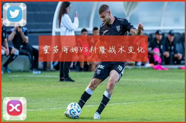 霍芬海姆vs科隆战术变化