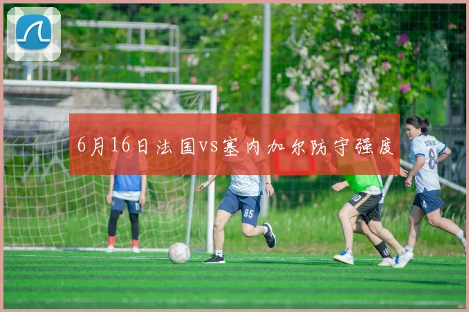 6月16日法国vs塞内加尔防守强度